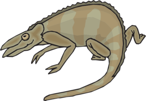 Brown And Gray Chameleon Clip Art